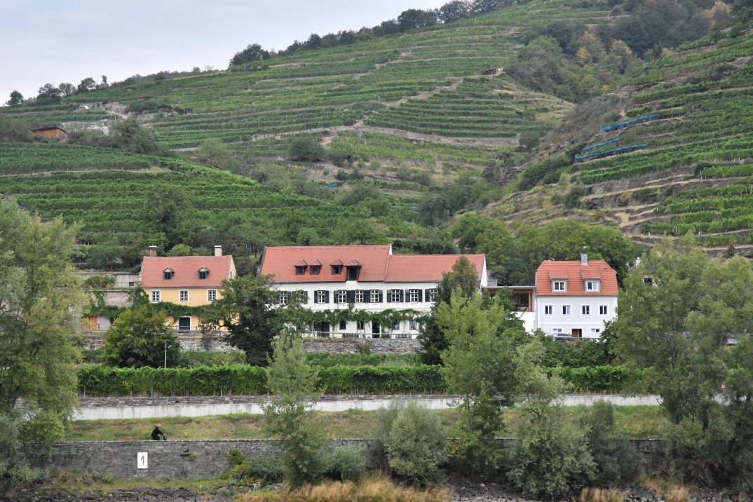 Weißenkirchen - Weingut Jäger